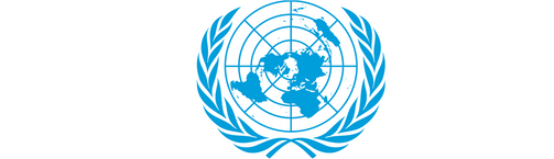 link to united nations article