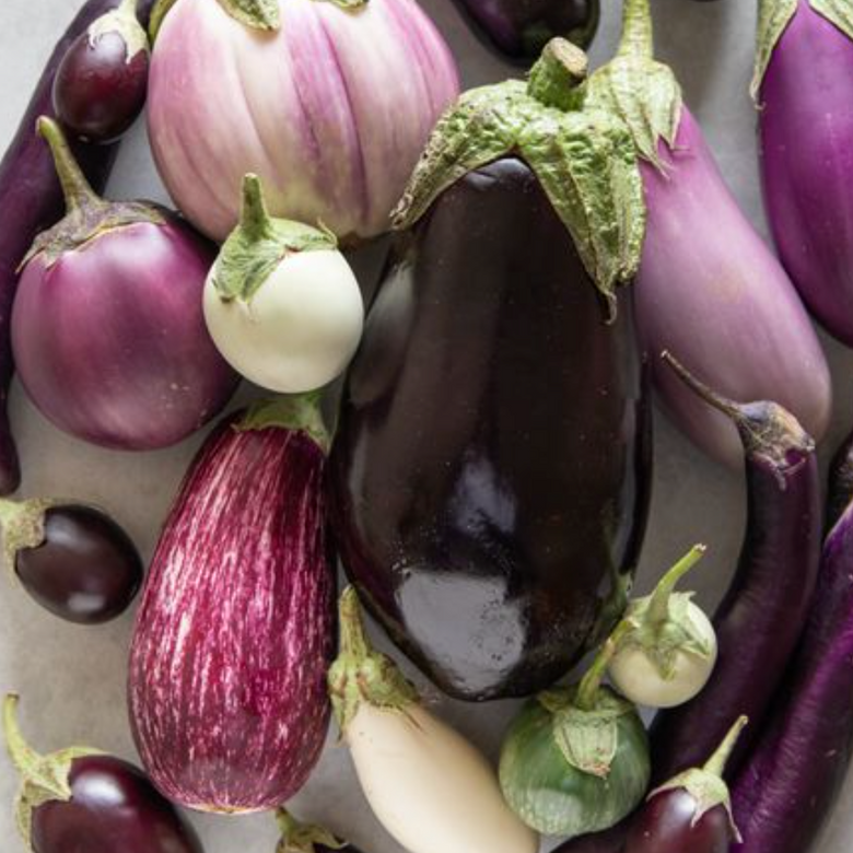 eggplants