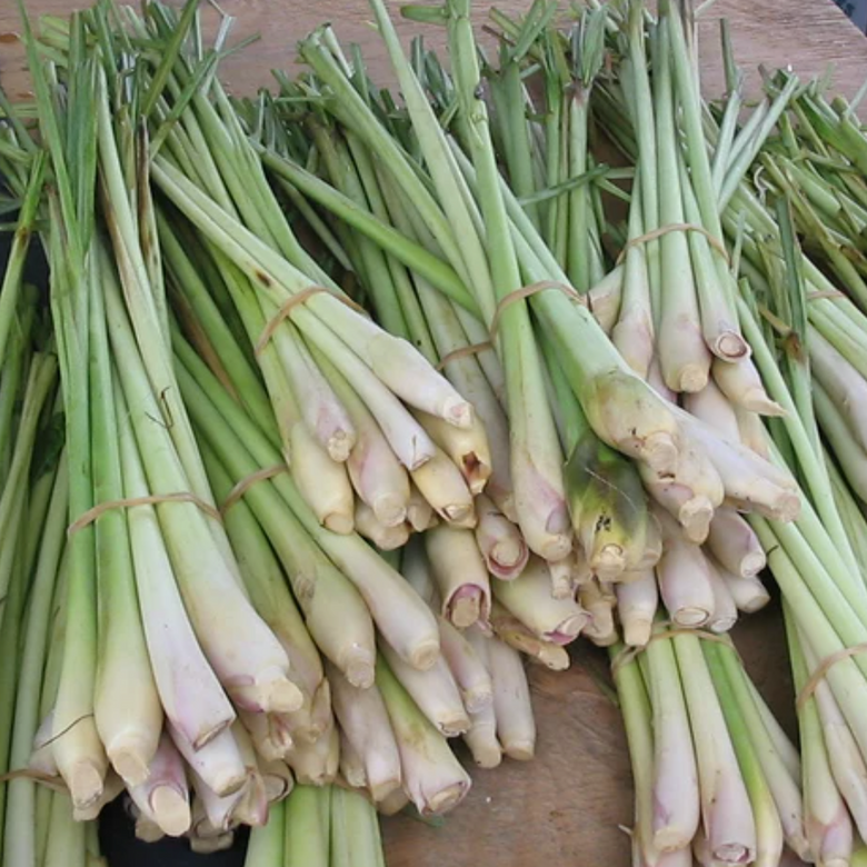 lemongrass