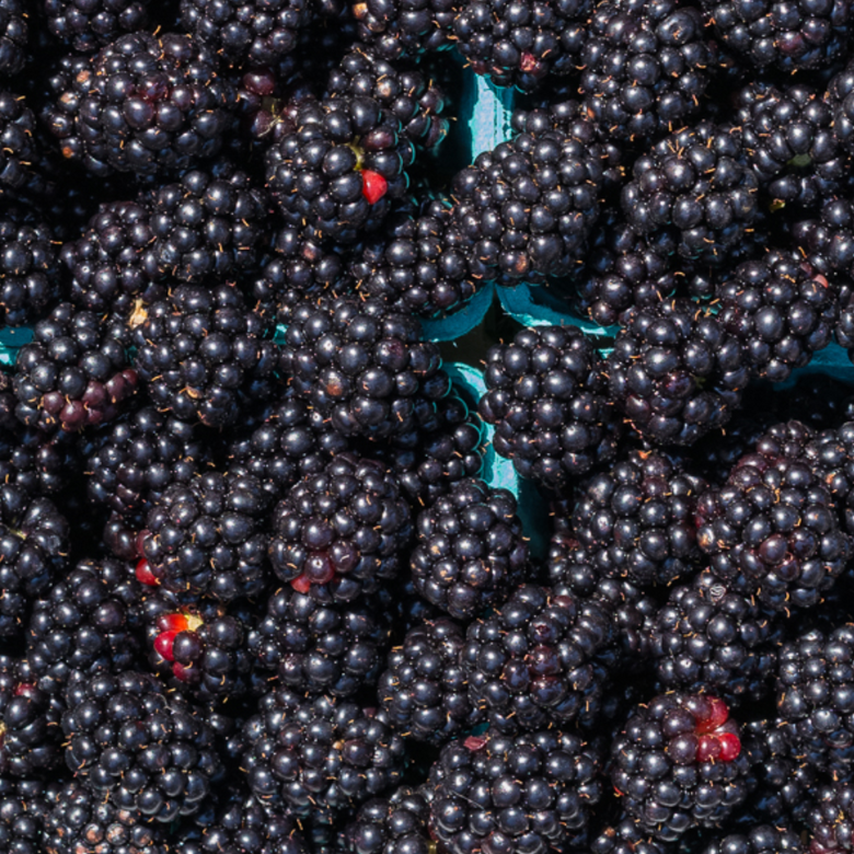 blackberries