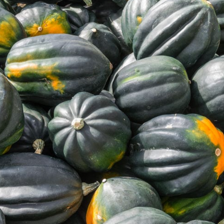 acorn-squash