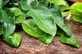lime-leaves