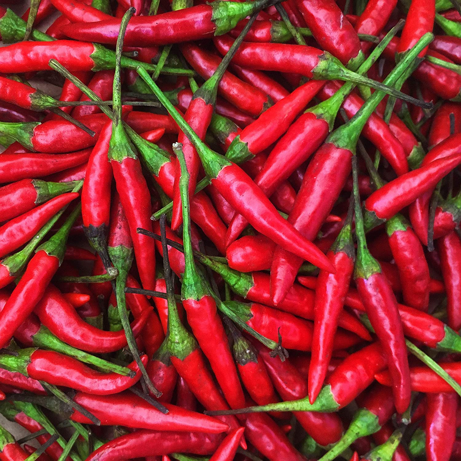 Birds Eye Chili – Peko